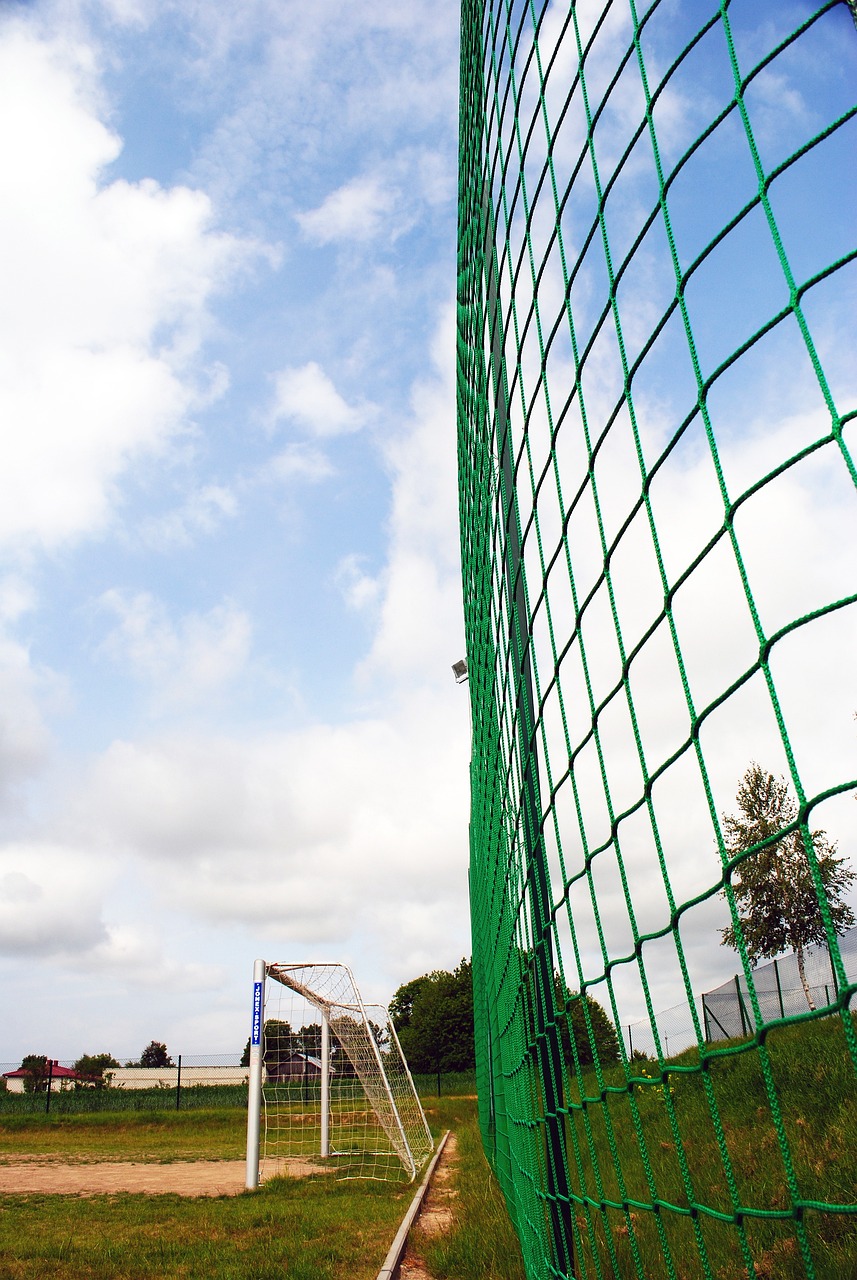 正确的选择 正确的选择