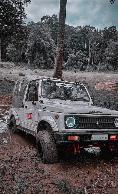 但结果却让 但结果却让