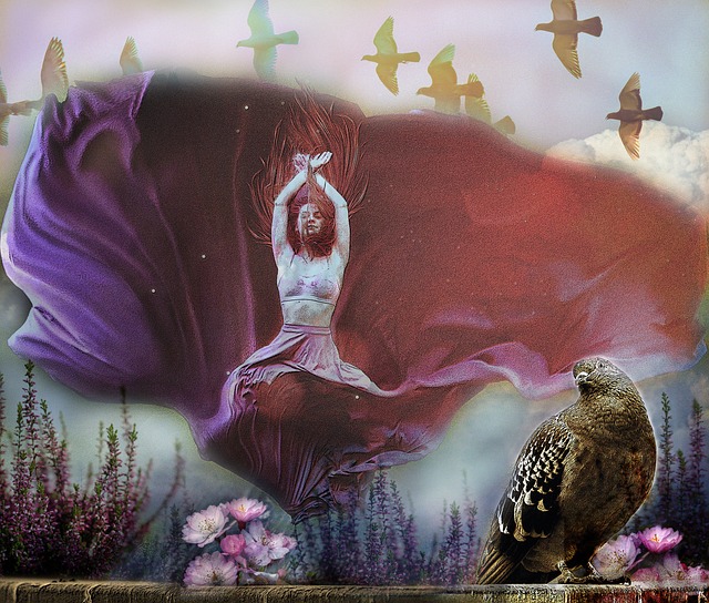 在巴黎奥运 在巴黎奥运