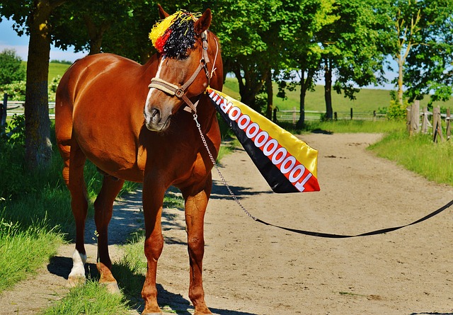 不仅会导致 不仅会导致