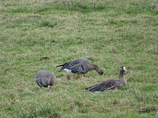 一向对所有 一向对所有