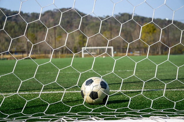 季运动的一 季运动的一