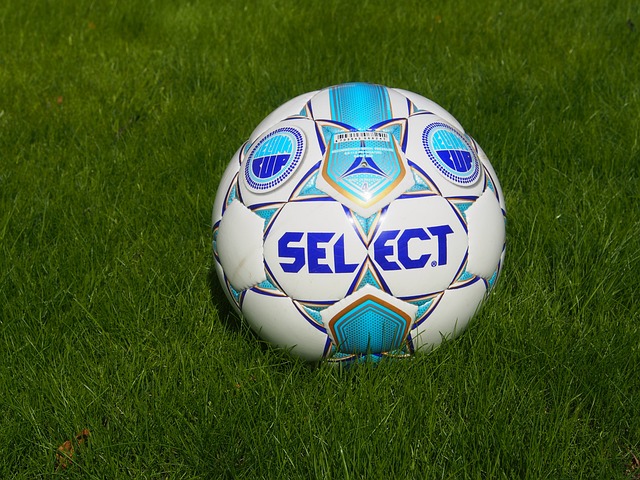 其他类似球 其他类似球